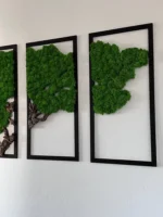 Moosbild 3er Set - Moosbaum mit Islandmoos und Korkholz