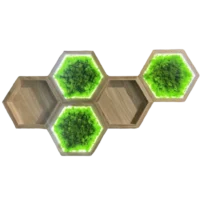 Moosbilder Sets: Mooshexagon und Holz Wandregal Beleuchtet