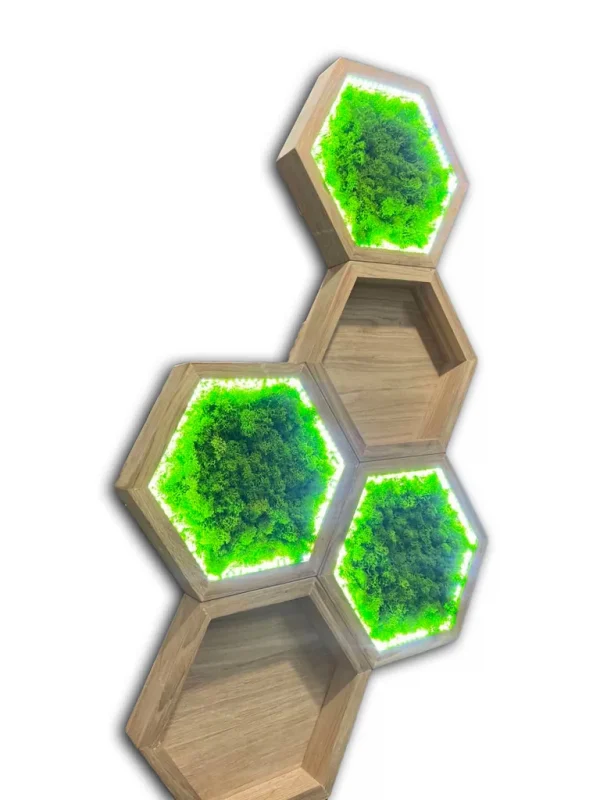 Moosbilder Sets: Mooshexagon und Holz Wandregal Beleuchtet