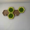 Hexagon regals_result Sechseckige Wandregale aus Holz mit grünem Islandmoos und LED-Beleuchtung an einer grauen Wand.