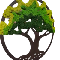 Moosbaum mit Zapfen und Beleuchtung