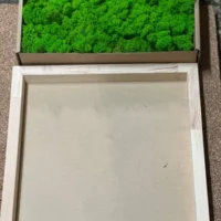 Set Holz Rahmen + Islandmoos