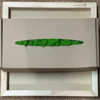 Set Holz Rahmen + Islandmoos