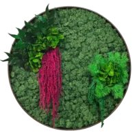 Moosbild Rund mit Islandmoos und Pflanzen