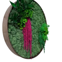 Moosbild Rund mit Islandmoos und Pflanzen