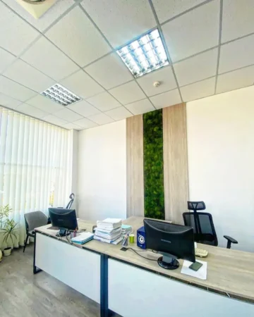 Mooswand Büro