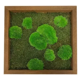 Kugel und Flachmoos 50/50 Design