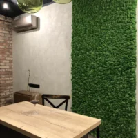 Mooswand mit Islandmoos