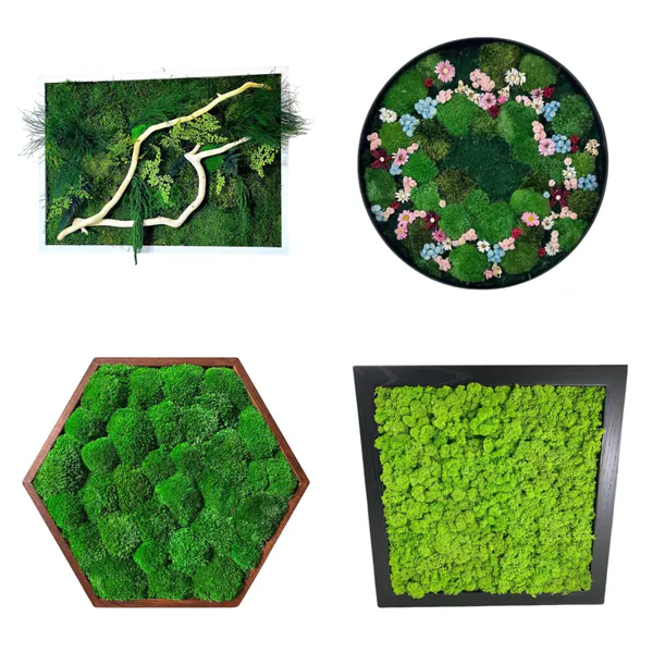 Moss art COLLAGE_result Moosbild nach Maß – Einzigartige Moosbilder im Design von Ekomoss