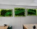 Moosbild Set mit Beleuchtung