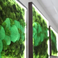 Moosbild Set mit Beleuchtung - Moosbild Beleuchtet