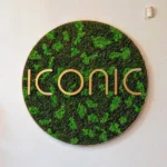 Rundes Design mit Islandmoos