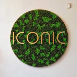 Rundes Design mit Islandmoos