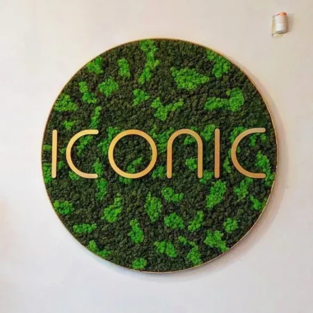 Rundes Design mit Islandmoos