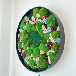 Runde Moos und Blumenbild