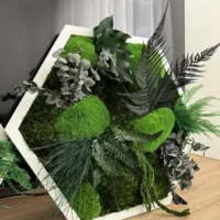 Hexagon Moosbild lebend - Einzigartiges Pflanzenarrangement