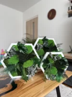 Hexagon Moosbild lebend - Einzigartiges Pflanzenarrangement
