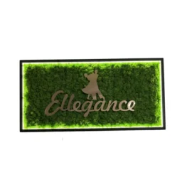 Islandmoos-Wandbild mit 3D-Logo eines Tanzpaares und beleuchtetem Rahmen