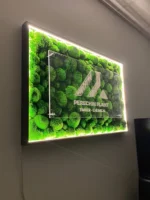 Kugelmoos mit Acrylglas und Beleuchtung