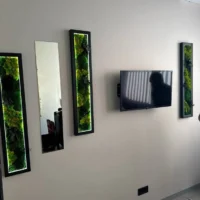 Moosbild Set und Spiegel