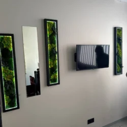 Moosbild Set und Spiegel