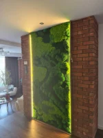 Mooswand mit mix moos von Ekomoss