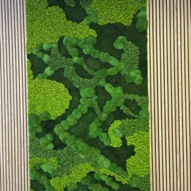 Mooswand - design: Farbiger Moosmix