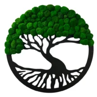 Moosbaum im Ring mit Cladophora-Kugeln