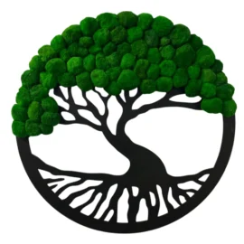 Moosbaum im Ring mit Cladophora-Kugeln