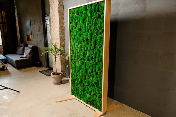 Moos an der Wand: Die vielseitige Moos Wandverkleidung für Ihr Zuhause 2 Tragbare Moos Trennwände