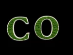 Holz Logo aus 3D Holzbuchstaben mit moos