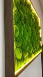 Moosbilder - Category products