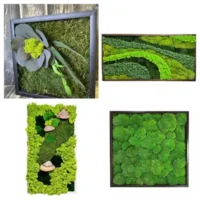 Moosbilder - Category products