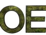 Holz Logo aus 3D Holzbuchstaben mit moos