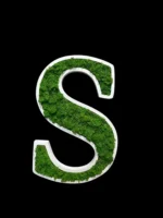Holz Logo aus 3D Holzbuchstaben mit moos