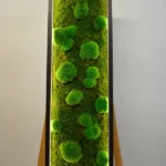 Moosbild LED – Mix aus Kugelmoos & Flachmoos