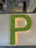 Holz Buchstaben mit LED und echtem Moos