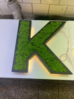 Holz Buchstaben mit LED und echtem Moos