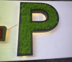 Holz Buchstaben mit LED und echtem Moos