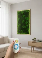 Moosbild LED – Mix aus Kugelmoos & Flachmoos