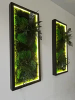 Moosbild beleuchtet nach Maß