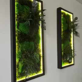 Moosbild beleuchtet nach Maß