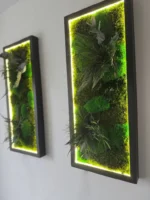 Moosbild beleuchtet nach Maß