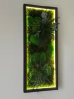 Moosbild beleuchtet nach Maß