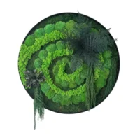 Auf diesem Foto ist das Moosbild - Naturwirbel abgebildet. Dieses Kunstwerk wurde aus mehreren Moosarten gefertigt: Flachmoos, Kugelmoos und Islandmoos, die sich harmonisch zu einer Spirale winden. Zusätzlich sind auf dem Bild konservierte Pflanzen zu sehen: Farn, Amarant und Eukalyptusblätter.