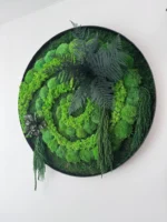 Auf diesem Foto ist das Moosbild - Naturwirbel abgebildet. Dieses Kunstwerk wurde aus mehreren Moosarten gefertigt: Flachmoos, Kugelmoos und Islandmoos, die sich harmonisch zu einer Spirale winden. Zusätzlich sind auf dem Bild konservierte Pflanzen zu sehen: Farn, Amarant und Eukalyptusblätter.