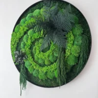 Auf diesem Foto ist das Moosbild - Naturwirbel abgebildet. Dieses Kunstwerk wurde aus mehreren Moosarten gefertigt: Flachmoos, Kugelmoos und Islandmoos, die sich harmonisch zu einer Spirale winden. Zusätzlich sind auf dem Bild konservierte Pflanzen zu sehen: Farn, Amarant und Eukalyptusblätter.