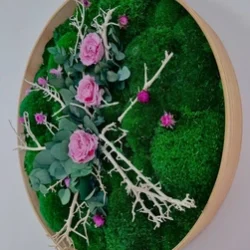 Foto Category Rosen Bilder - Blumenbilder aus Moos und Blumen – lebendige Dekoration für Ihr Zuhause.