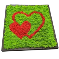 Wandbild Herz aus Moos - 2 Herzen aus rotem und grünem Islandmoos