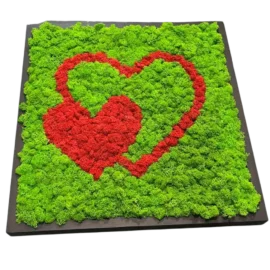 Wandbild Herz aus Moos - 2 Herzen aus rotem und grünem Islandmoos
